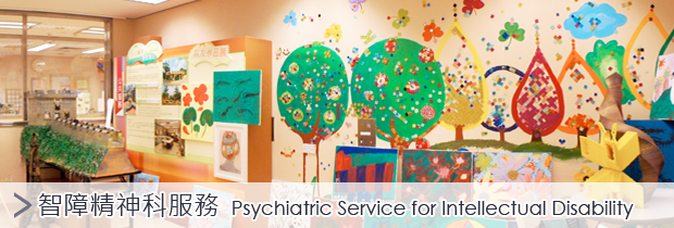 Psychiatric Service for Intellectual Disability