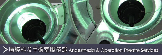 Anaesthesia and Operating Theatre Services