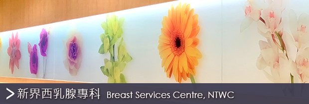 Breast Services Centre, NTWC