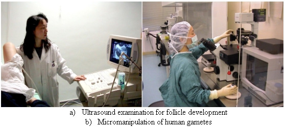 Ultrasound examination for follicle development (left) , Micromanipulation of human gametes (right)