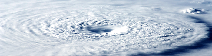 颱風安排的横幅圖像