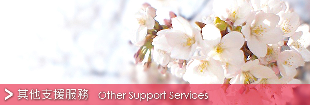 Other Support Services
