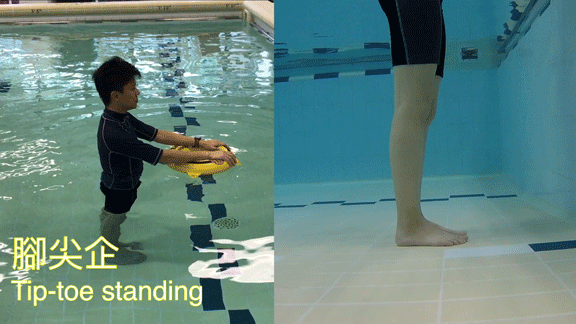 腳尖企 1. 收小腹。 2. 小腿發力用腳尖站立。