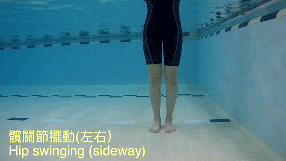 髖關節擺動 (左右) 1. 收小腹。2. 單腳站立，同時左右擺動另一隻腳。
