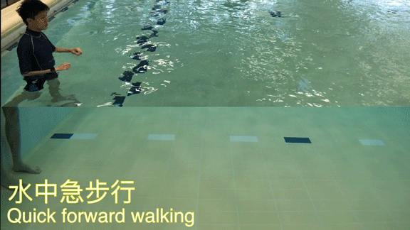 水中急步行 1. 收小腹。 2. 在水中向前急行。
