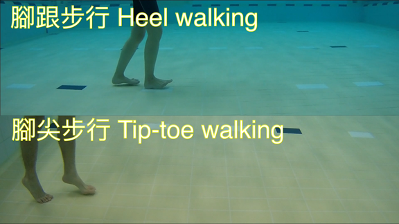 Tip-toe Walking / Heel Walking 1. Tuck your tummy in. 2. Walk forward using tip-toes / heels and try to keep a balance.