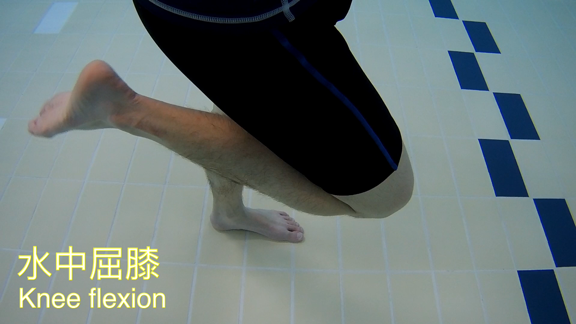 Hip/ Knee Joint Replacement: Hydrotherapy