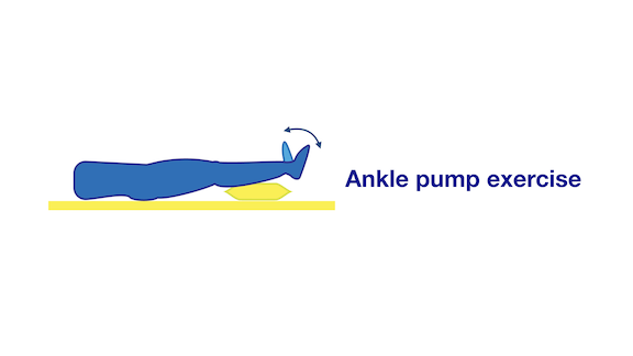 Ankle Pump Exercise
