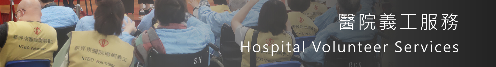 Hospital Volunteer Services