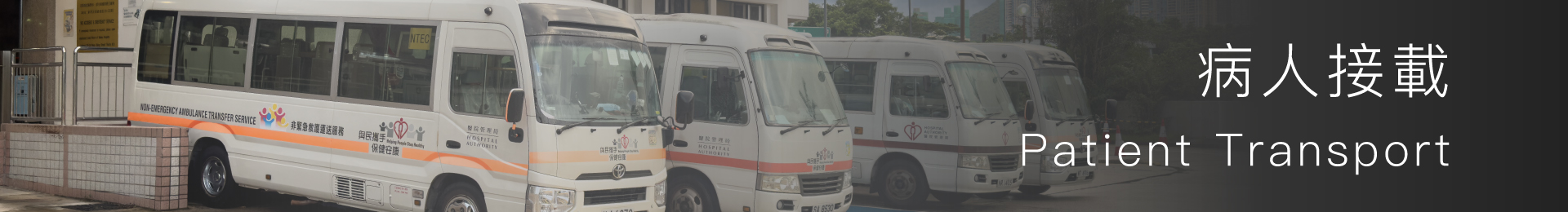 Patient Transport