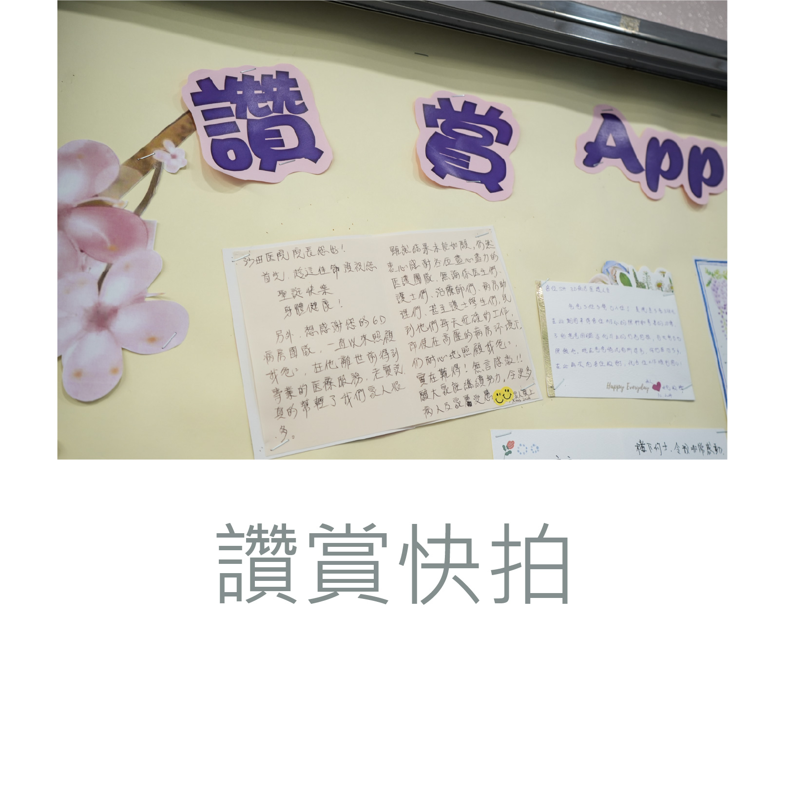 讚賞快拍