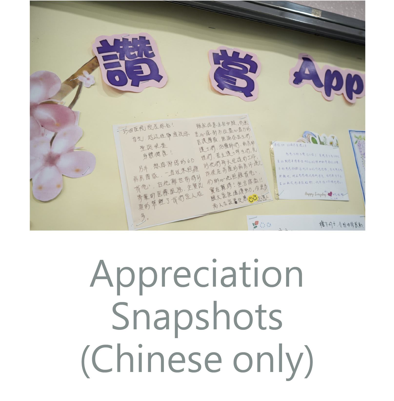 Appreciation Snapshots (Chinese only)
