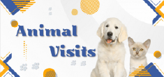Animal Visit