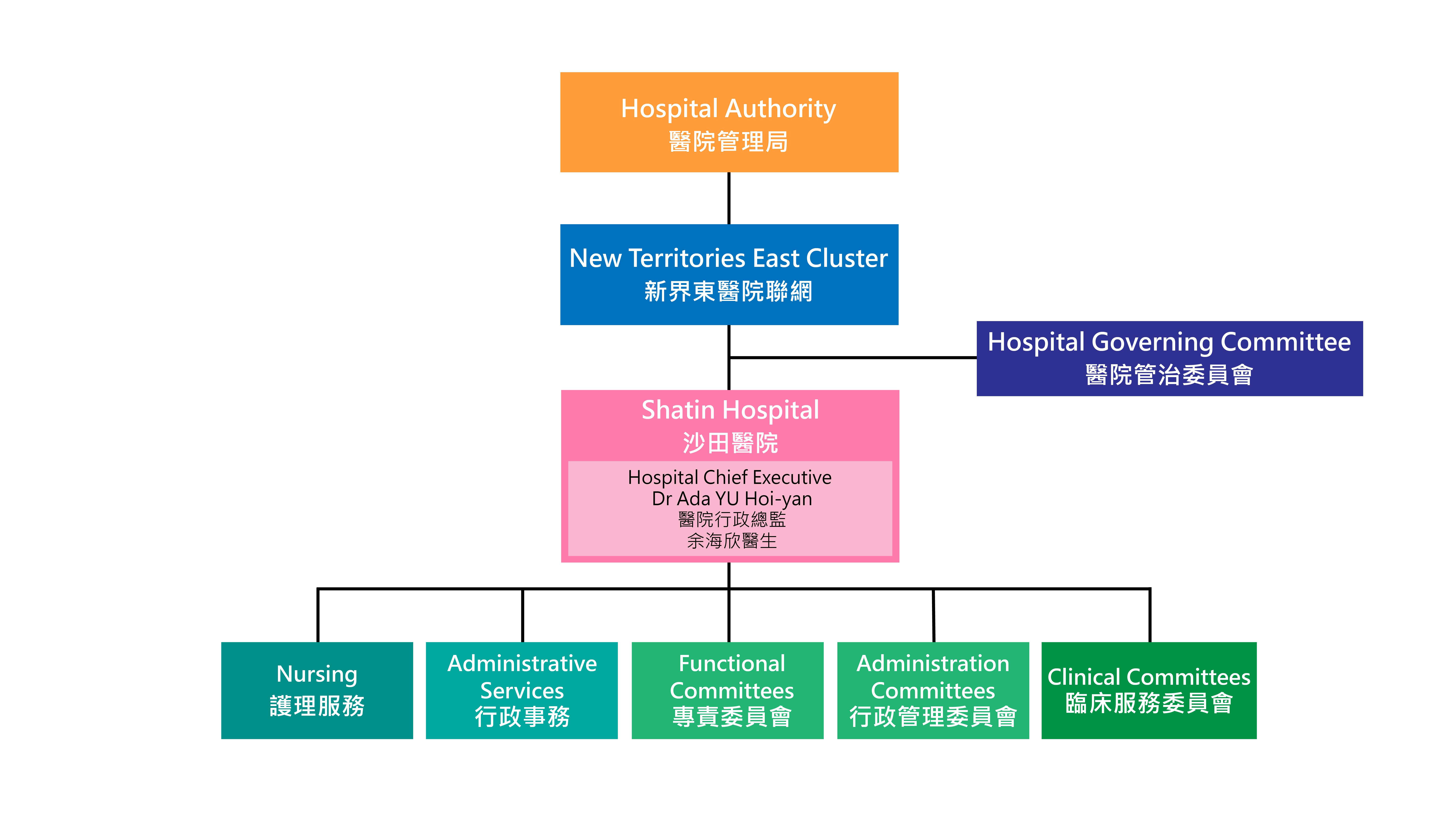 Hospital Governing Committees