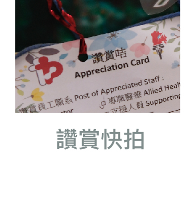 讚賞快拍