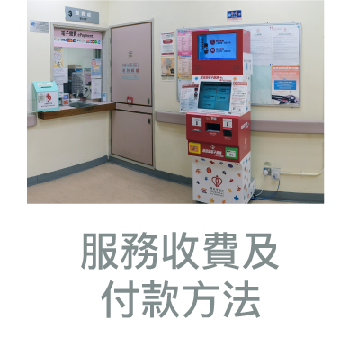 服務收費及付款方法