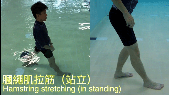 Hamstring stretching (In Standing) 1. Stand with one leg in front of the other, whilst bending your hind leg and keep your fore leg straight.
2. Try to bend your trunk until you feel some stretches over the the back of thigh.