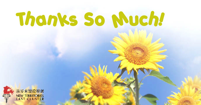 Thank You - Sun Flower