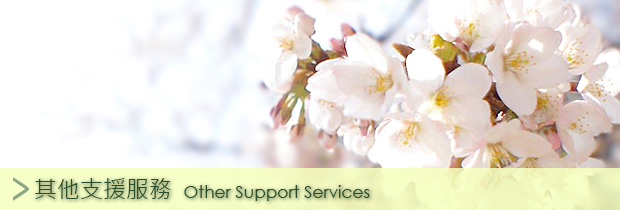 Other Support Services