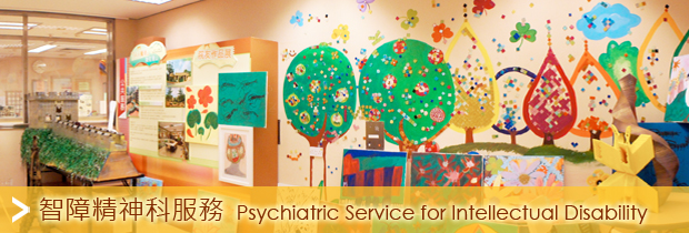 Psychiatric Service for Intellectual Disability