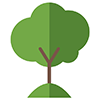 保育樹木  綠化環境