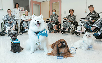 Pets spread loving care in hospital
