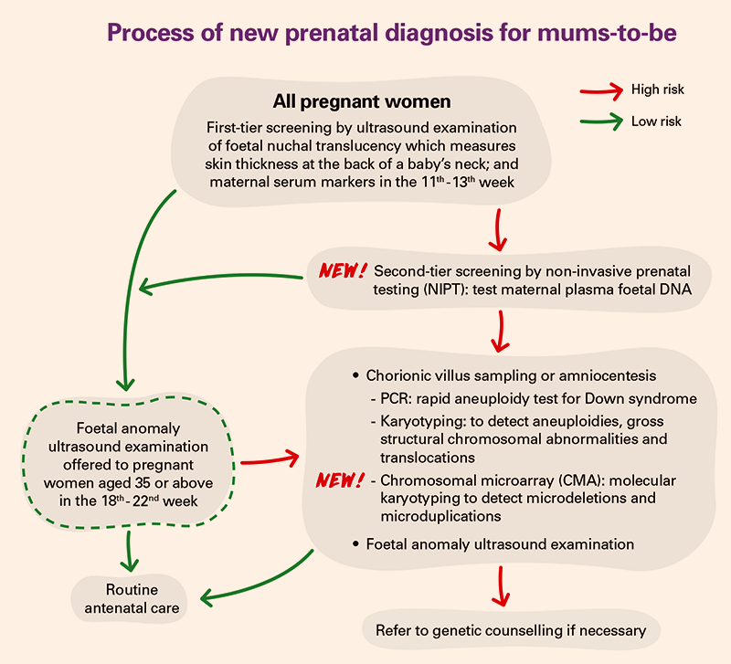 Early prenatal diagnosis of isolated anal