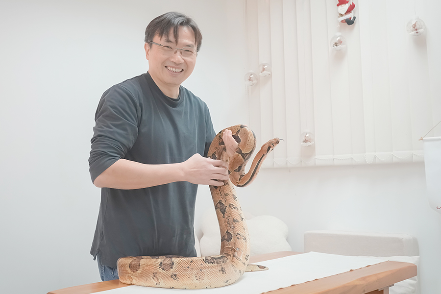 紅尾蚺「花生」被漁護署充公,交到香港兩棲及爬蟲協會,由黃凱峯醫生六年前領養。