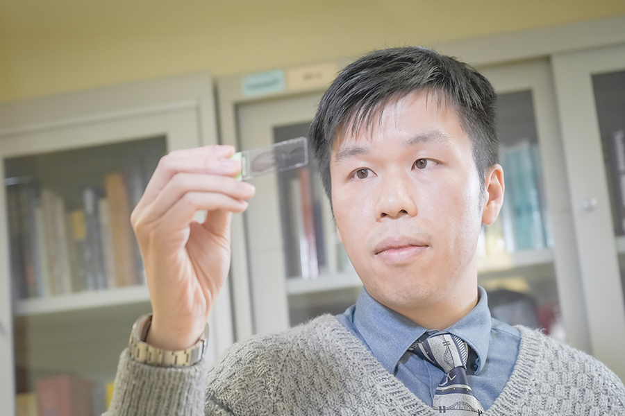 Dr Stanford Li examines a blood smear. His daily work involves observing cells under a microscope.