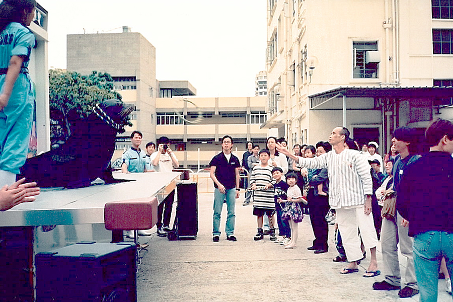 Sea lions perform at the hospital.