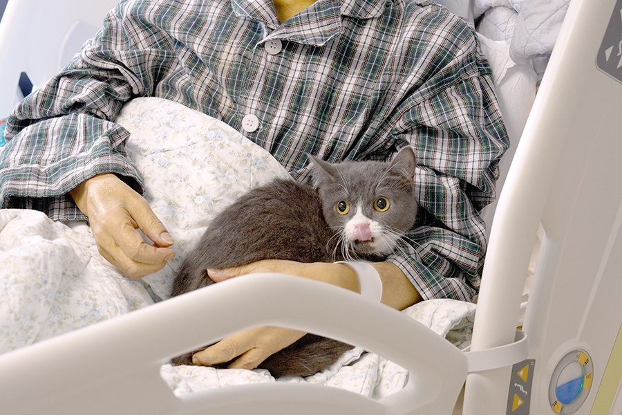 乖巧的Cindy靜靜地依偎在華叔的懷裡。