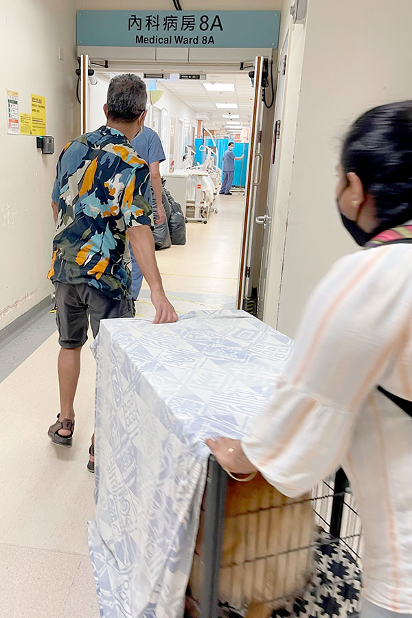 Rio以狗籠運送，全程以布覆蓋狗籠。