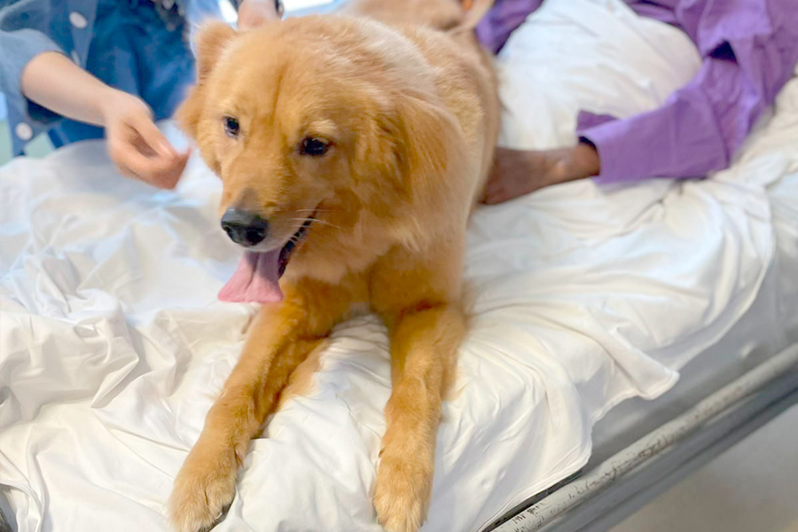 性情溫馴的Rio，一見到久違的主人，立刻流露雀躍神情。