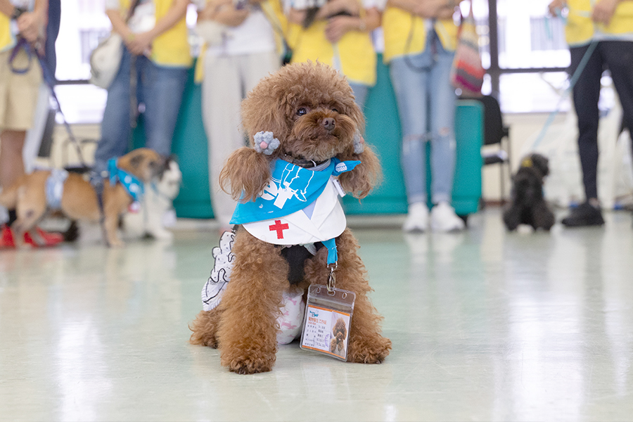 Dr涼茶上前向病人打招呼。