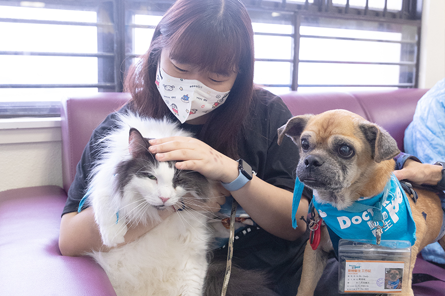 「我覺得貓很安靜、很溫柔，與牠們相處讓我感到平靜，能幫我解開內心的心結。」病人YY邊說邊輕撫著懷中的貓咪。