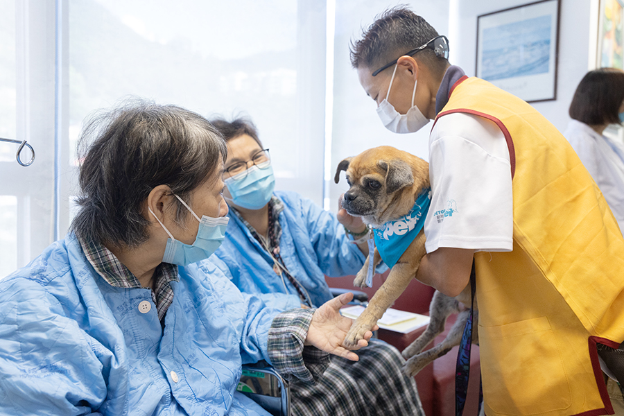病人馮婆婆（左）與 Dr Goofy開心互動，義工 Angela（右）在愛犬Humpty離世後，領養了Goofy，讓動物醫生的愛得以延續。