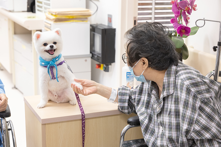 醫管局將擴展動物探訪安排，讓更多病人感受到關懷。