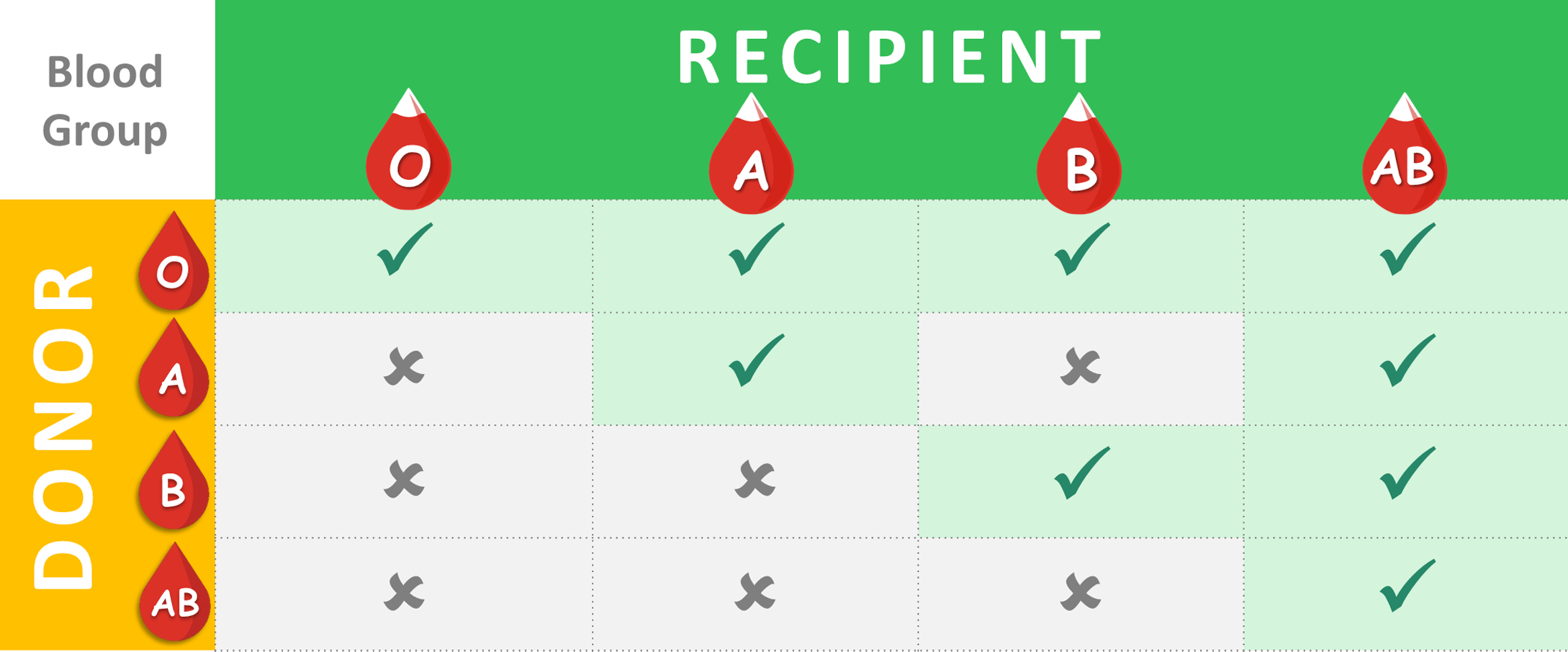 Potential Donor Evaluation