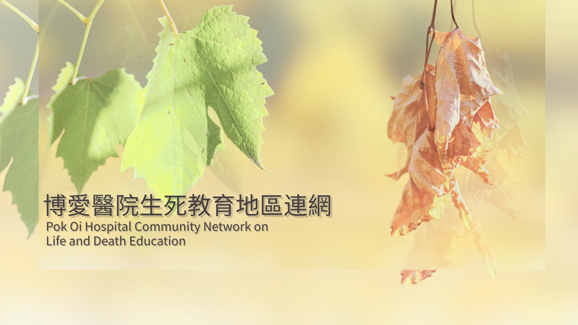 生死教育桌上游戏《抉择之间》