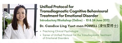 Unified Protocol for Transdiagnostic Cognitive Behavioural Treatment for Emotional Disorder Introductory Workshop (Online)