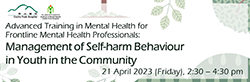 Advanced Training in Mental Health for Frontline Mental Health Professionals: Management of Self-harm Behaviour in Youth in the Community