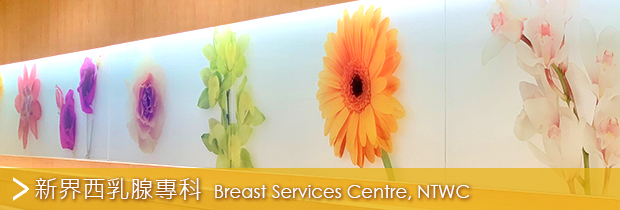 Breast Services Centre, NTWC