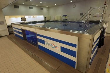 Hydrotherapy Service