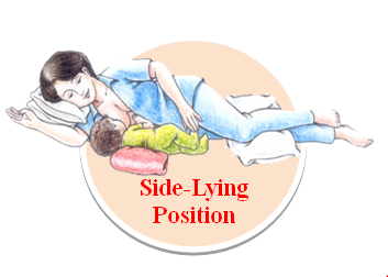 Illustration of Breastfeeding in Side Lying Position – Medical Stock Images  Company