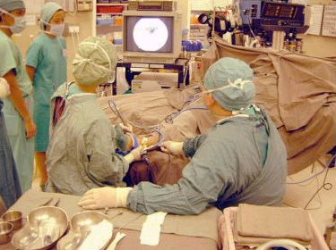 Department of Orthopaedics & Traumatology 3