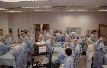 Department of Orthopaedics & Traumatology 12