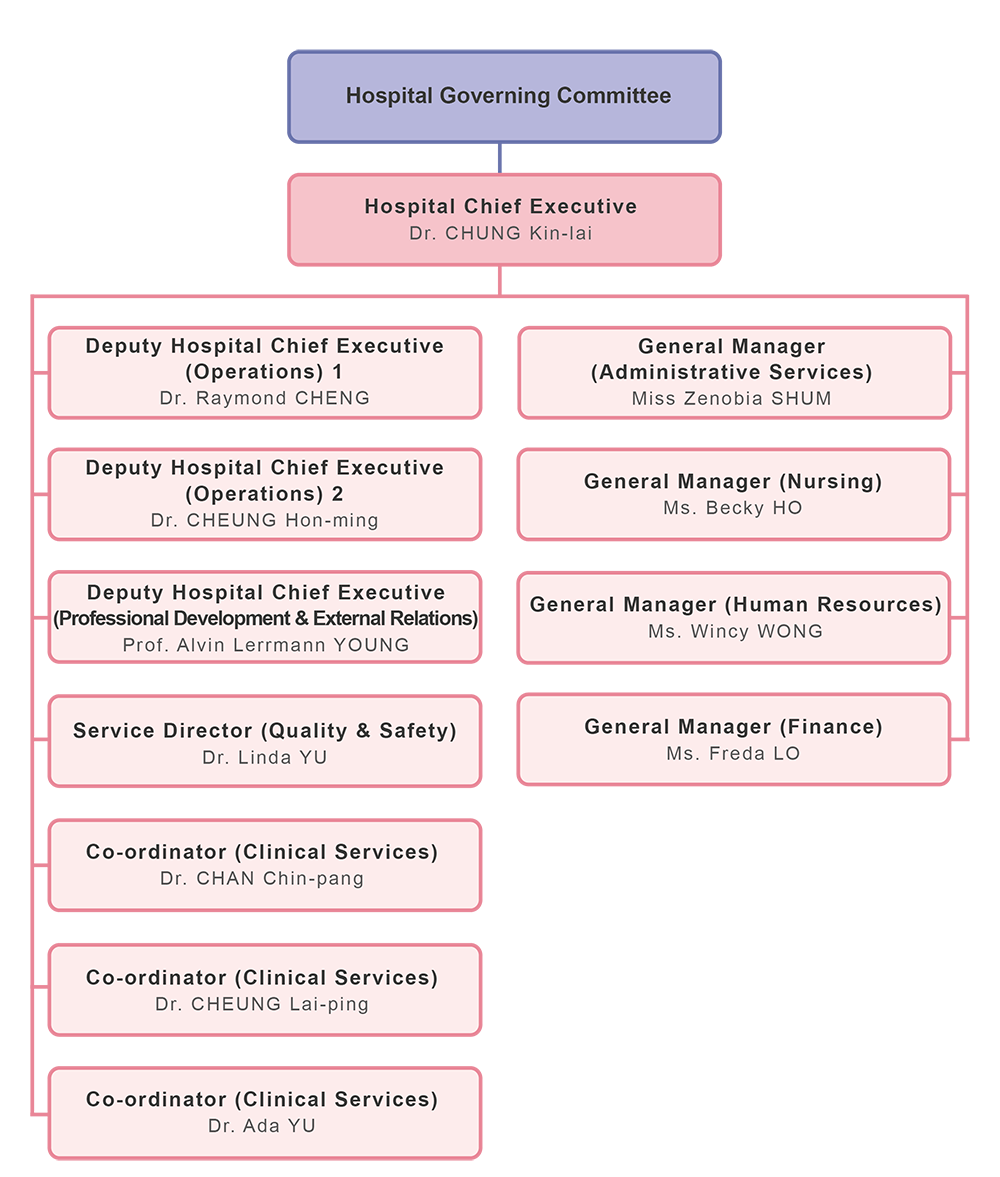 The Hospital Governing Committee