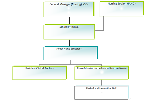 School Of Nursing Organizational Chart