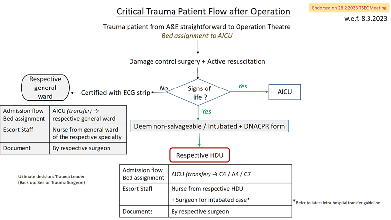 Critical Trauma Patient Flow after Operation