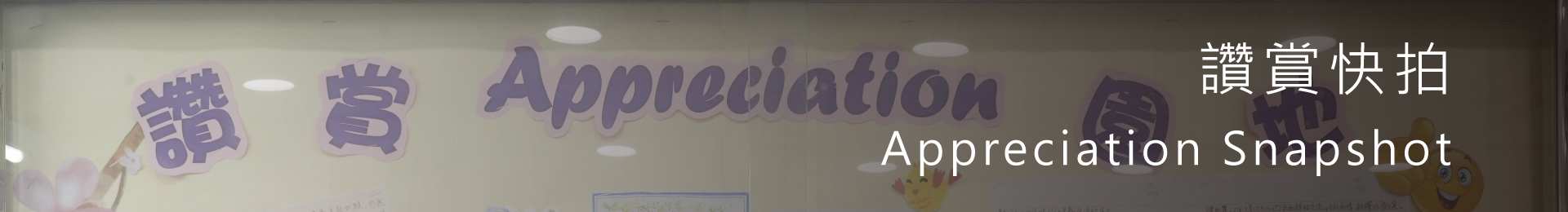 Appreciation Snapshots 